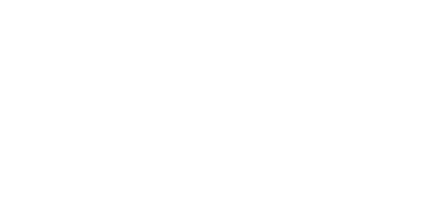 preciza sono logo